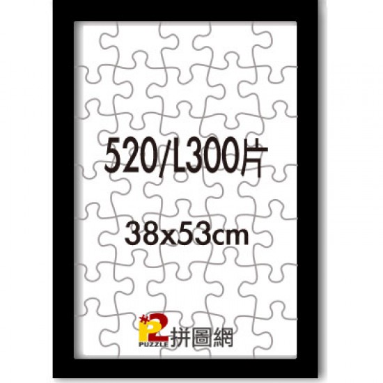 WD1225-20 黑色520/L300片平面木框